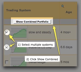 how%20to%20draw%20a%20multi%20system%20portfolio